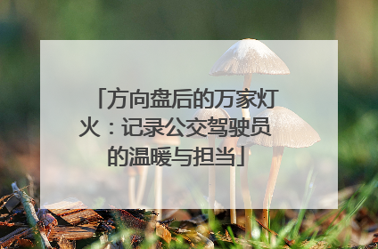 方向盘后的万家灯火：记录公交驾驶员的温暖与担当