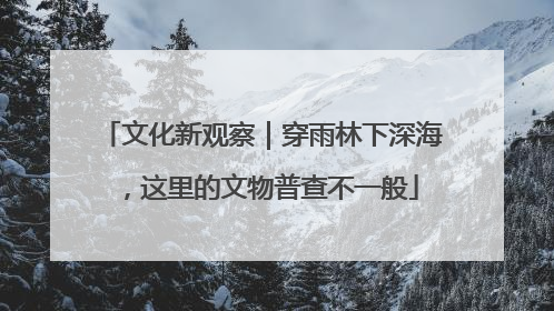 文化新观察｜穿雨林下深海，这里的文物普查不一般