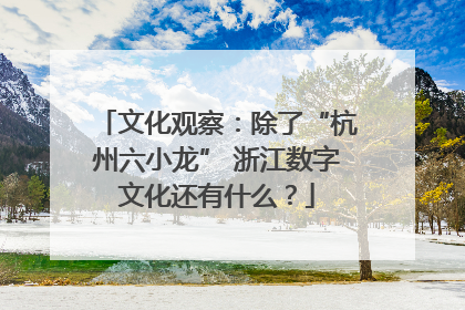 文化观察：除了“杭州六小龙” 浙江数字文化还有什么？