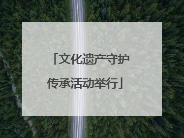 文化遗产守护传承活动举行