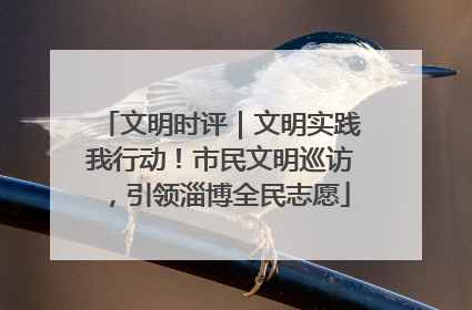 文明时评｜文明实践我行动！市民文明巡访，引领淄博全民志愿