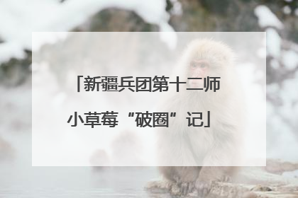 新疆兵团第十二师小草莓“破圈”记
