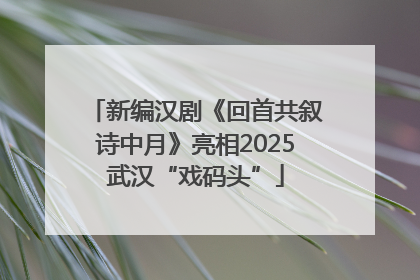 新编汉剧《回首共叙诗中月》亮相2025武汉“戏码头”