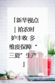 新华视点｜抢农时 护丰收 多维度保障“三夏”生产
