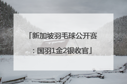 新加坡羽毛球公开赛：国羽1金2银收官