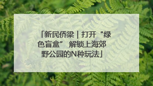 新民侨梁｜打开“绿色盲盒” 解锁上海郊野公园的N种玩法