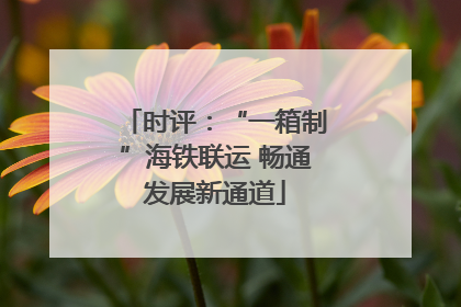 时评：“一箱制”海铁联运 畅通发展新通道