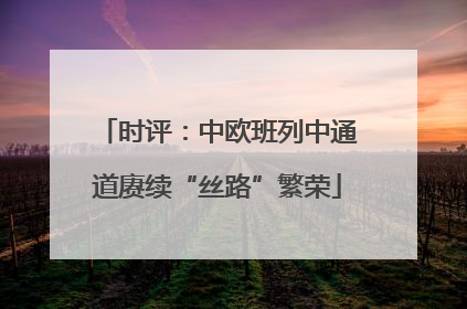 时评：中欧班列中通道赓续“丝路”繁荣