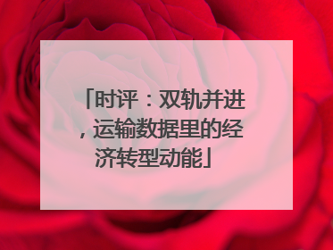 时评：双轨并进，运输数据里的经济转型动能