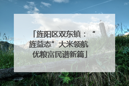 旌阳区双东镇：“旌益态”大米领航 优粮富民谱新篇