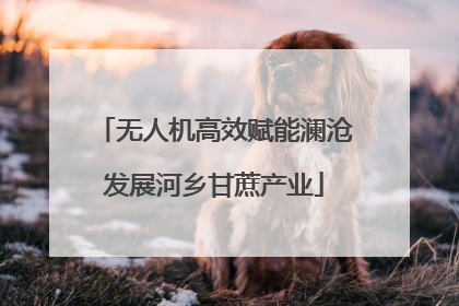 无人机高效赋能澜沧发展河乡甘蔗产业