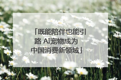 既能陪伴也能引路 AI宠物成为中国消费新领域