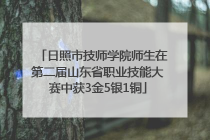 日照市技师学院师生在第二届山东省职业技能大赛中获3金5银1铜