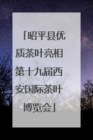 昭平县优质茶叶亮相第十九届西安国际茶叶博览会