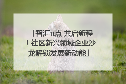 智汇π点 共启新程！社区新兴领域企业沙龙解锁发展新动能