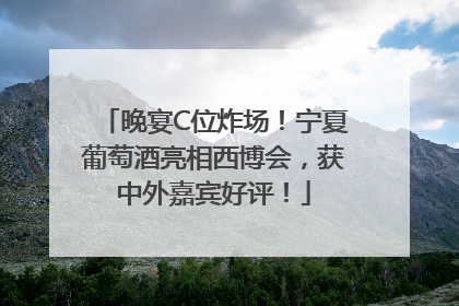 晚宴C位炸场！宁夏葡萄酒亮相西博会，获中外嘉宾好评！