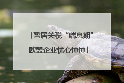 暂居关税“喘息期” 欧盟企业忧心忡忡