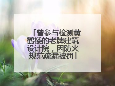 曾参与检测黄鹤楼的老牌建筑设计院，因防火规范疏漏被罚