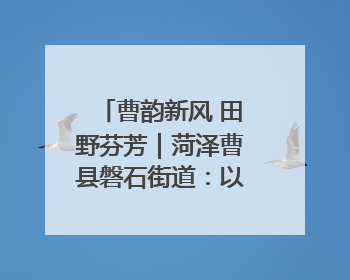 曹韵新风 田野芬芳｜菏泽曹县磐石街道：以歌为媒 唱响乡土“新歌声”