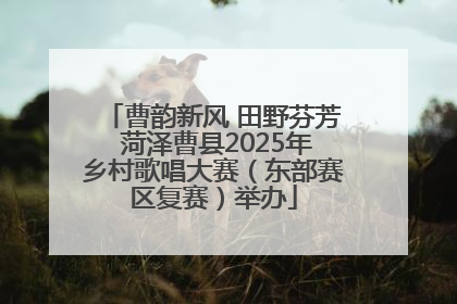 曹韵新风 田野芬芳 菏泽曹县2025年乡村歌唱大赛（东部赛区复赛）举办