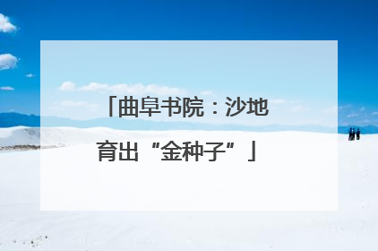 曲阜书院：沙地育出“金种子”