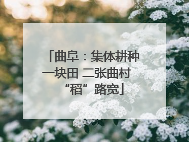 曲阜：集体耕种一块田 二张曲村“稻”路宽