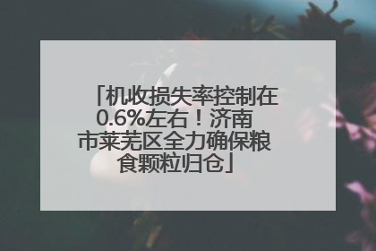 机收损失率控制在0.6%左右！济南市莱芜区全力确保粮食颗粒归仓