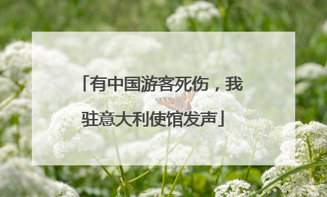 有中国游客死伤，我驻意大利使馆发声