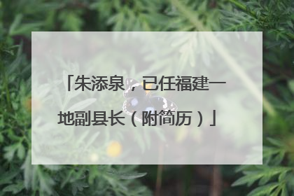 朱添泉，已任福建一地副县长（附简历）