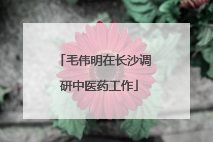 毛伟明在长沙调研中医药工作