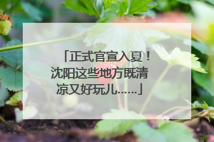 正式官宣入夏！沈阳这些地方既清凉又好玩儿……