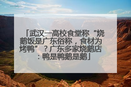武汉一高校食堂称“烧鹅饭是广东俗称，食材为烤鸭”？广东多家烧鹅店：鸭是鸭鹅是鹅