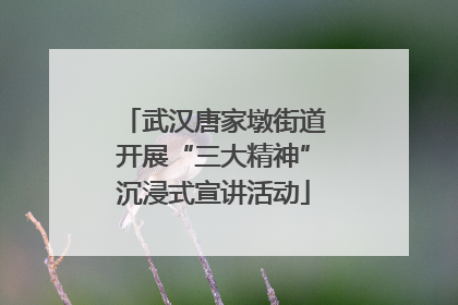 武汉唐家墩街道开展“三大精神”沉浸式宣讲活动