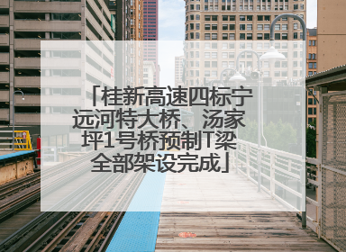 桂新高速四标宁远河特大桥、汤家坪1号桥预制T梁全部架设完成