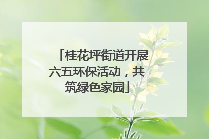 桂花坪街道开展六五环保活动，共筑绿色家园