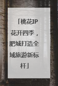 桃花IP花开四季，肥城打造全域旅游新标杆