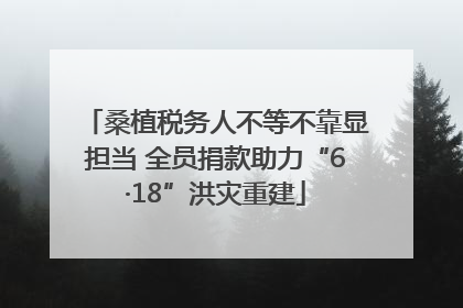 桑植税务人不等不靠显担当 全员捐款助力“6·18”洪灾重建