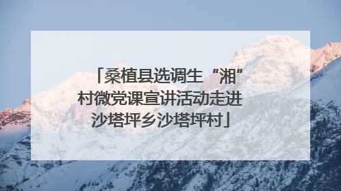 桑植县选调生“湘”村微党课宣讲活动走进沙塔坪乡沙塔坪村