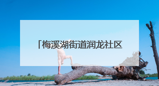 梅溪湖街道润龙社区举办怡智家园黏土镜子DIY手工活动