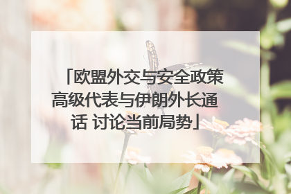 欧盟外交与安全政策高级代表与伊朗外长通话 讨论当前局势