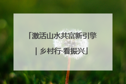 激活山水共富新引擎｜乡村行·看振兴