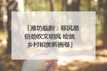 潍坊临朐：移风易俗劲吹文明风 绘就乡村和美新画卷