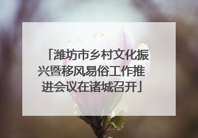 潍坊市乡村文化振兴暨移风易俗工作推进会议在诸城召开