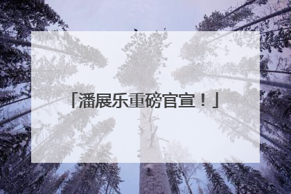 潘展乐重磅官宣！