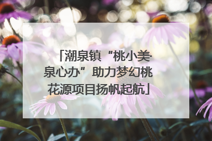 潮泉镇“桃小美·泉心办”助力梦幻桃花源项目扬帆起航