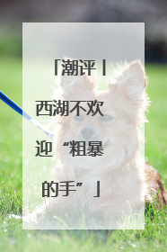 潮评丨西湖不欢迎“粗暴的手”