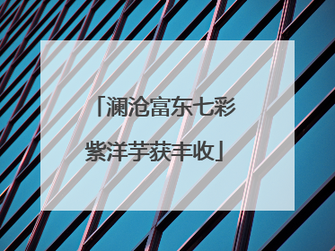 澜沧富东七彩紫洋芋获丰收