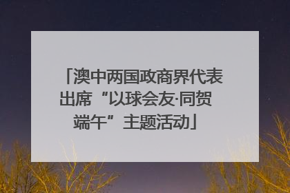 澳中两国政商界代表出席“以球会友·同贺端午”主题活动