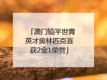 澳门镜平世青英才奥林匹克赛获2金1荣誉
