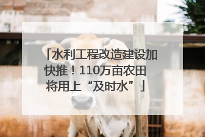 水利工程改造建设加快推！110万亩农田将用上“及时水”